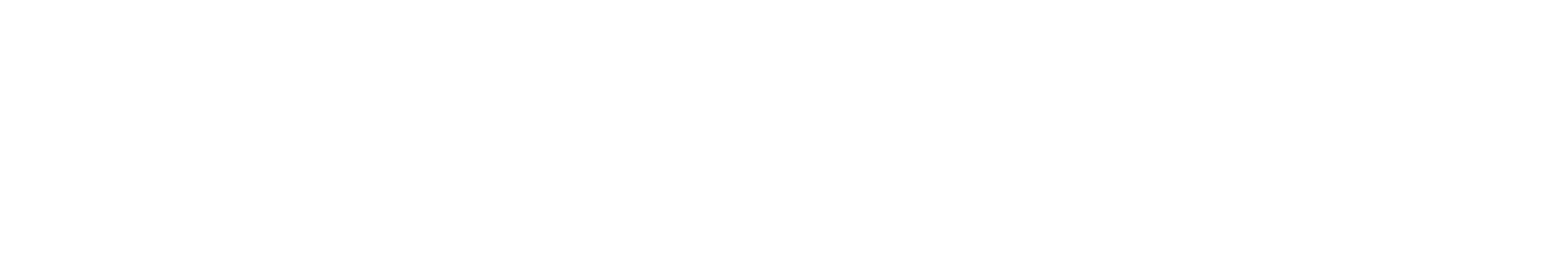 Bristol Adviser